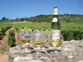 Wine glasses in Puligny Montrachet.JPG